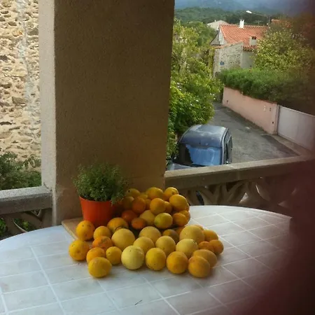 Les Micocouliers Vakantiehuis Villelongue-dels-Monts